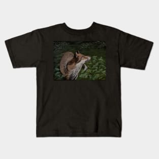 Red Fox at Night Kids T-Shirt